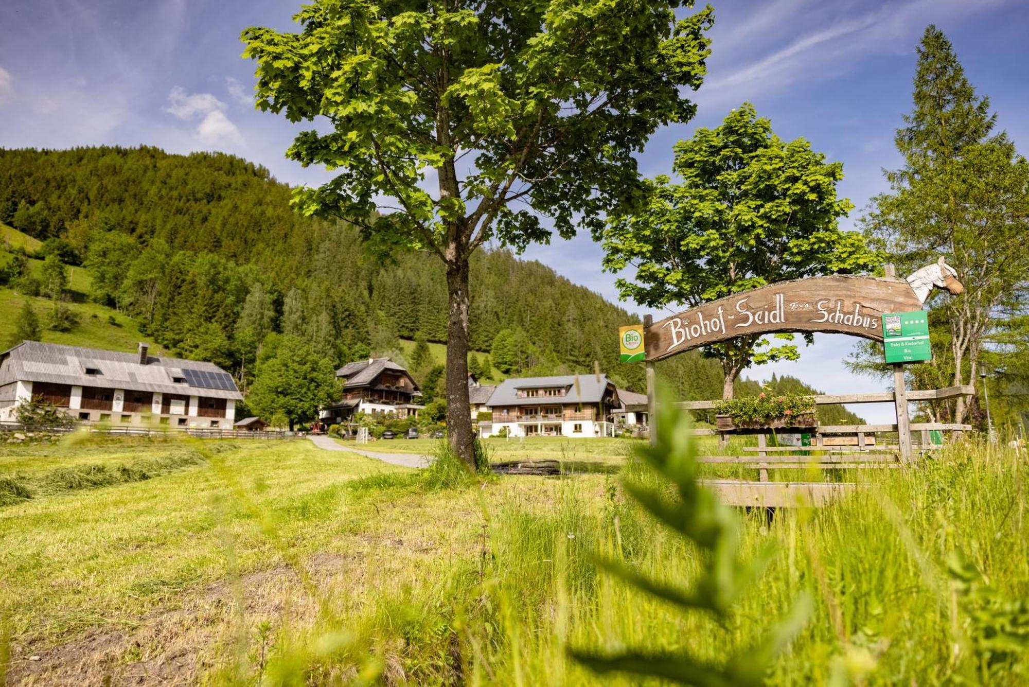 Апартаменты Biohof Seidl Бад Кляйнкирххайм Экстерьер фото